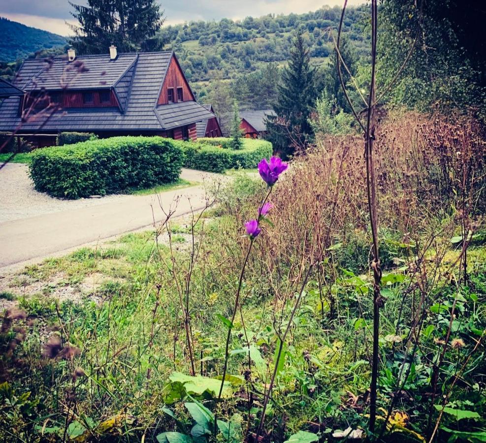 Drevenica Uhorcik Villa Terchová Екстериор снимка